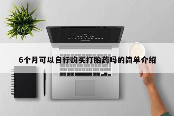 私人卖打胎药货到付款6个月可以自行购买打胎药吗的简单介绍